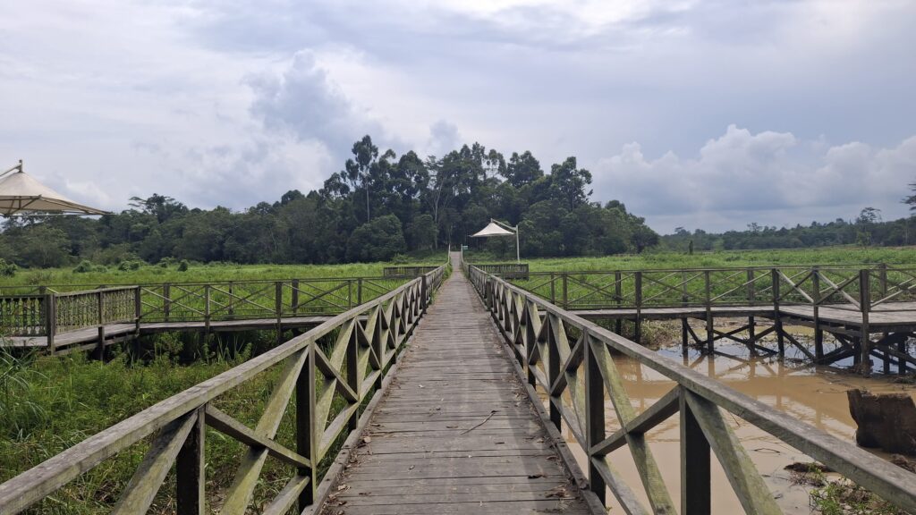 Jembatan Kayu