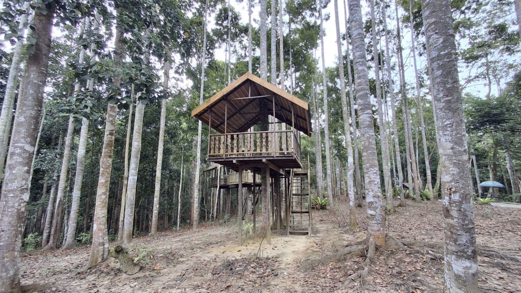 Rumah Pohon