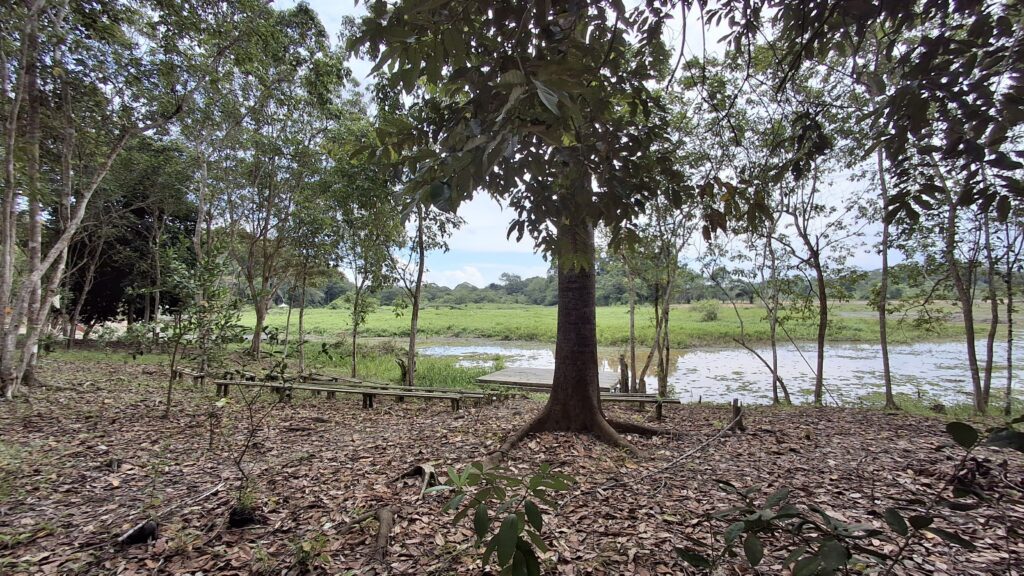 Tempat duduk menghadap danau